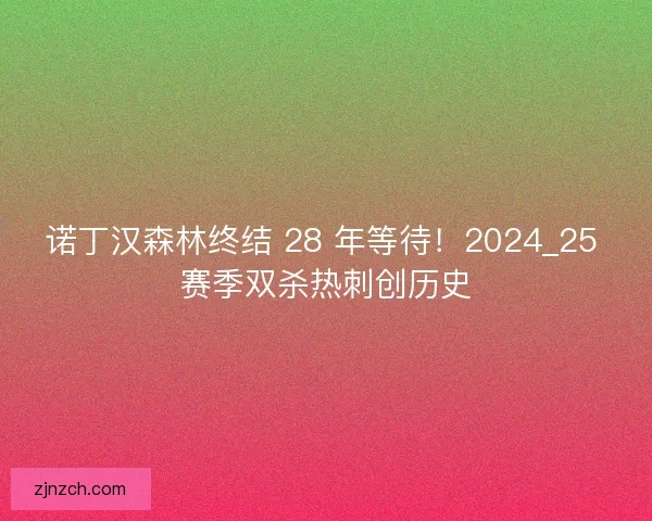 诺丁汉森林终结 28 年等待！2024_25 赛季双杀热刺创历史
